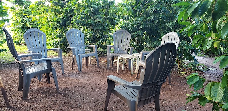 Green World Coffee Farm photo 1
