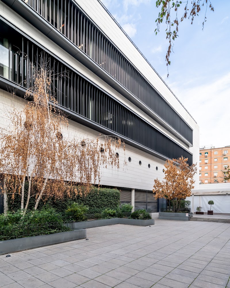 Viding Alcántara Gym