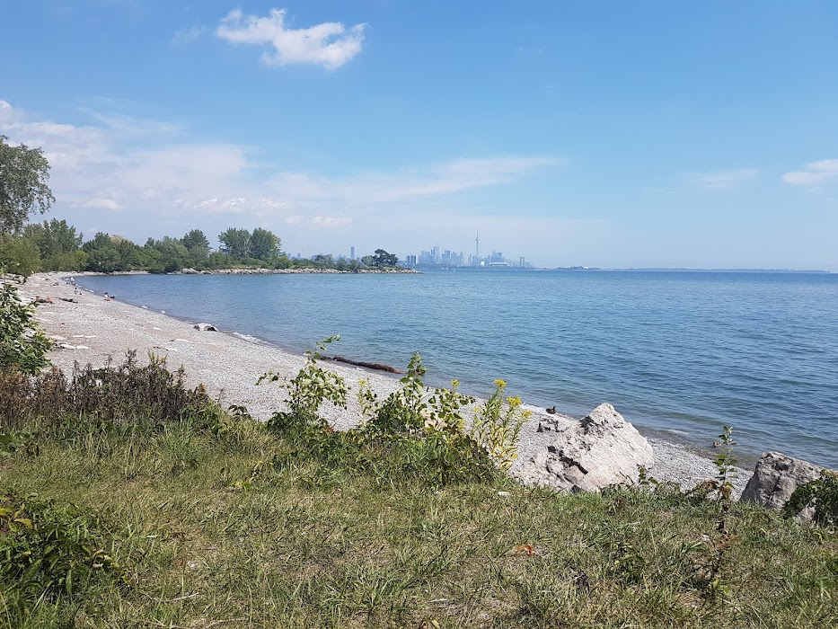Humber Bay Park East fotoğraf 1