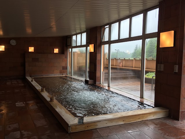 Hotel & Resort Nasu Kasumigajo Golf Club - Photo 3