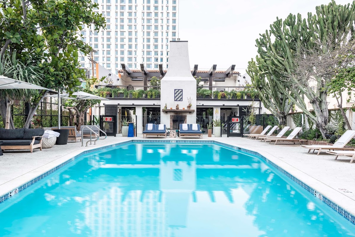 Hotel Figueroa, dog-friendly hotel, photo 2