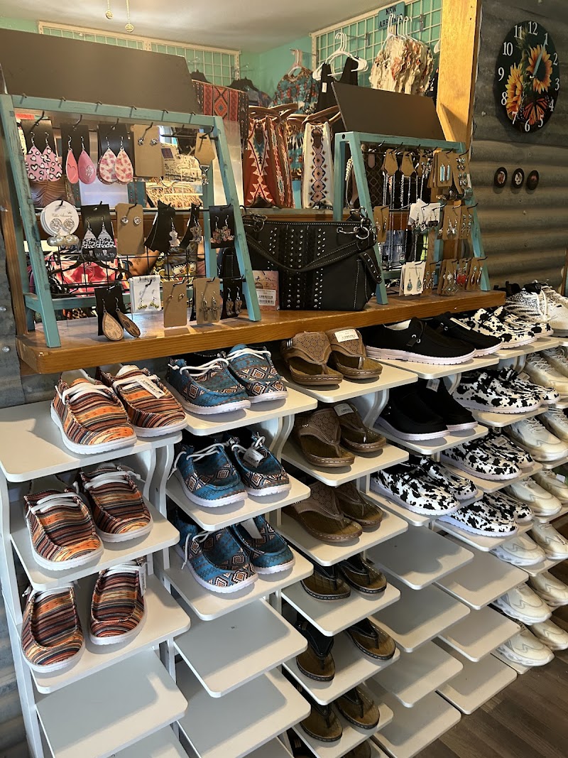 Turtleback Coffee photo 4