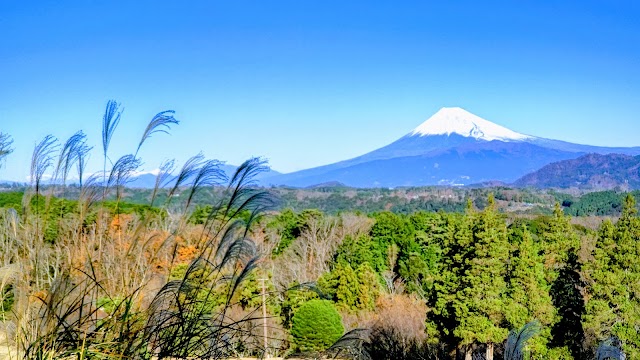 Laforet Shuzenji & Country Club - Photo 2