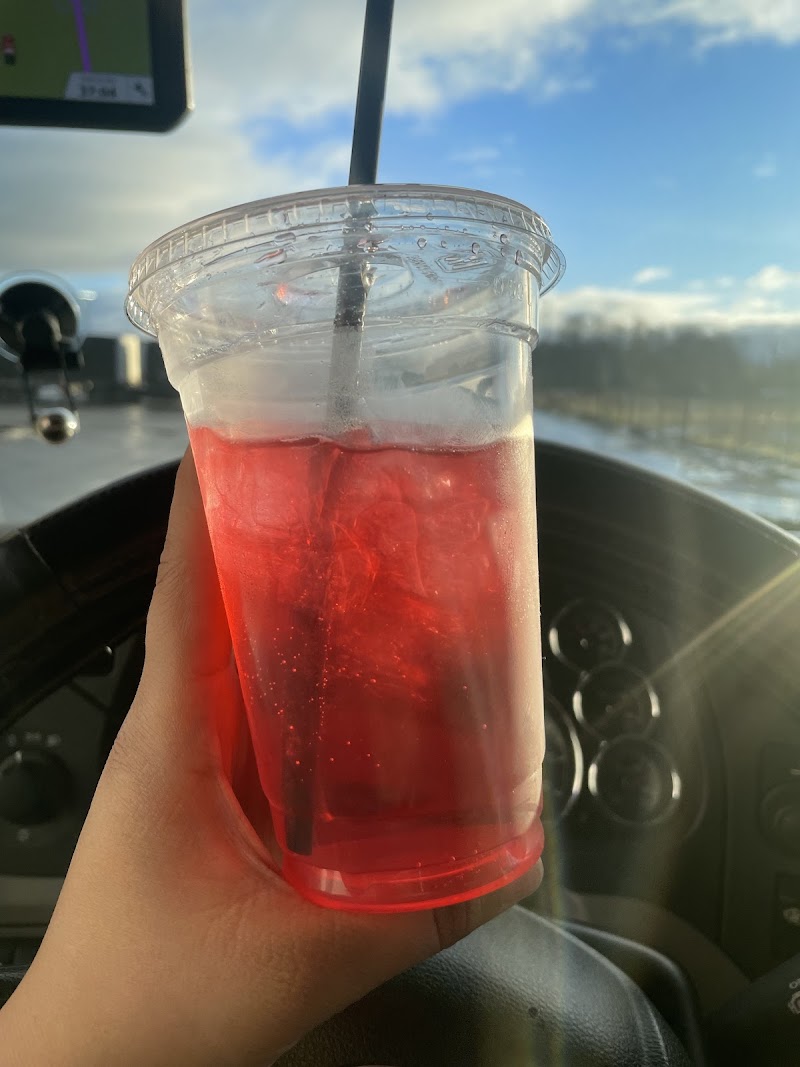 Do-Si-Do Bikini Espresso photo 3