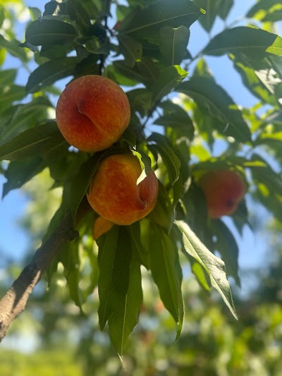 BALTU FRESH SOĞUK HAVA DEPOLAMA TESİSİ - Nakliyat