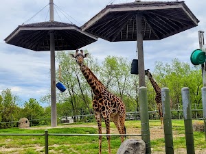 Toronto Zoo