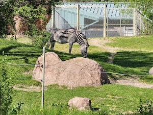 Toronto Zoo