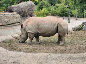 Toronto Zoo