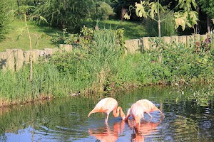 Toronto Zoo