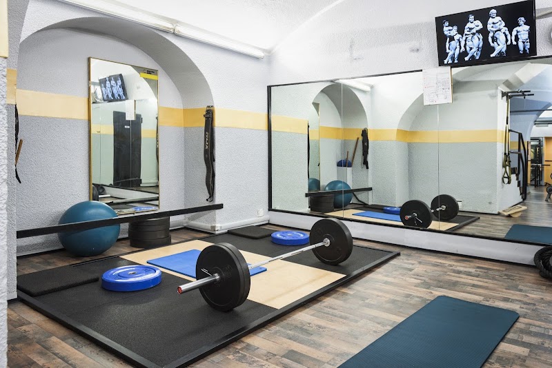 Torino Palestre ELITE - Fitness e Benessere a Torino