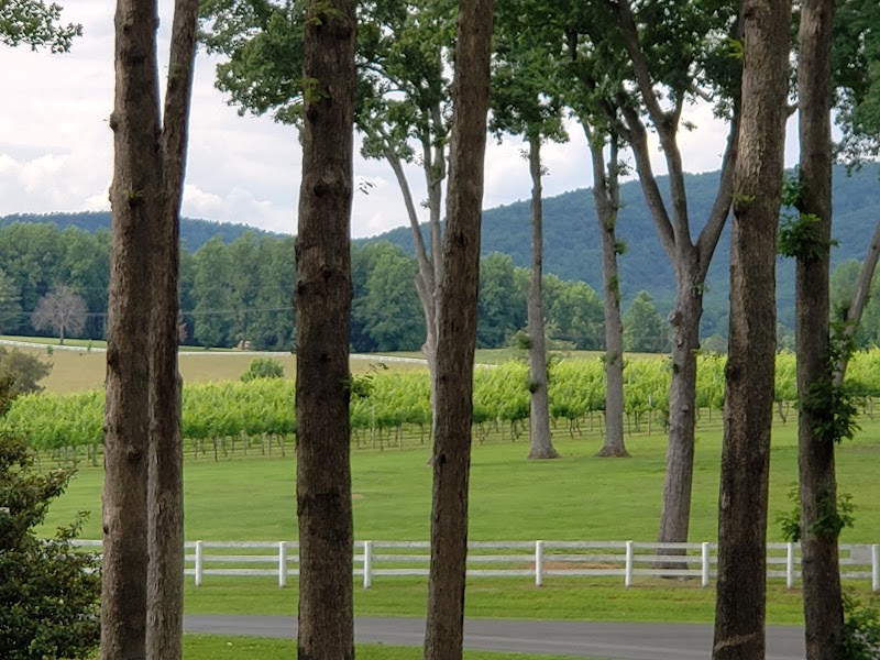 Keswick Vineyards photo 3