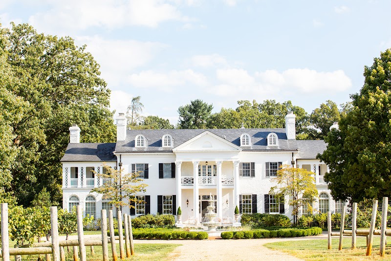 Keswick Vineyards photo 2