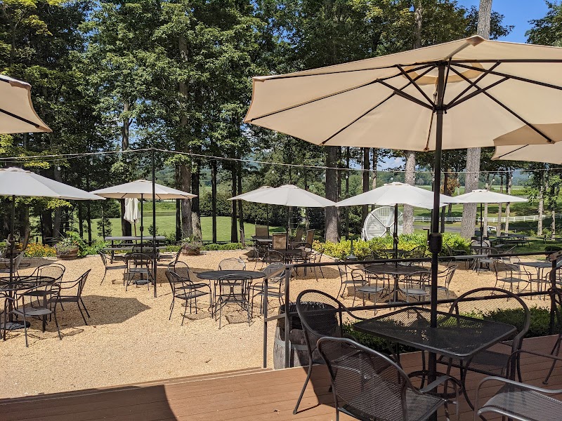 Keswick Vineyards photo 4