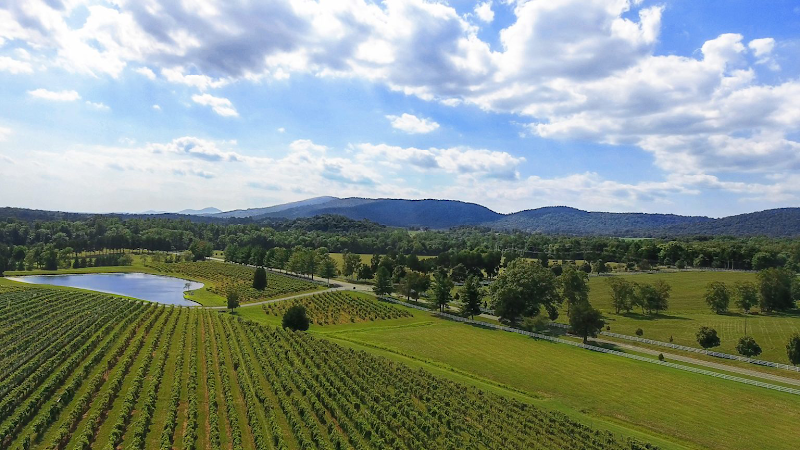 Keswick Vineyards photo 1