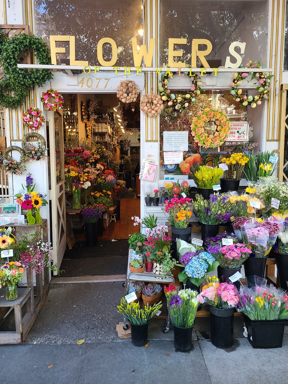 Flowers of the Valley San Francisco: Google Places image 1