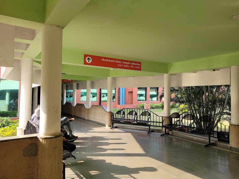 Gallery 5