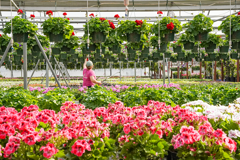 Anderson's Newport News photo 2