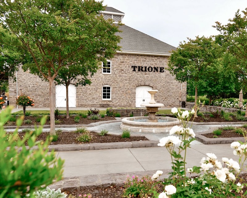 Trione Vineyards and Winery