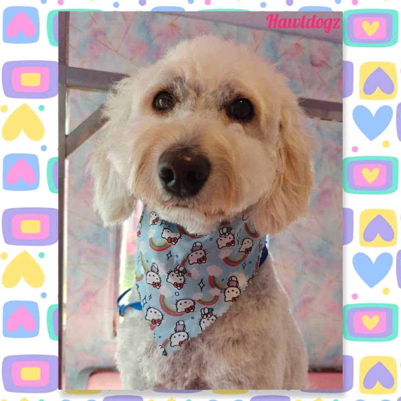 Hawt Dogz Dog Grooming