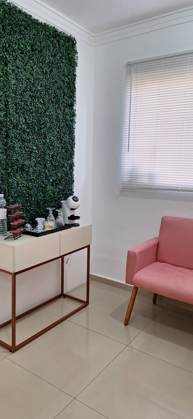 Dra. Camila Souza - Nutricionista Emagrecimento em Santana/SP