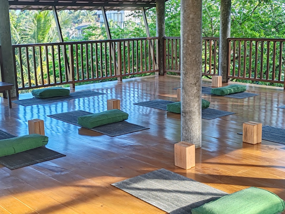 The Jungle view Hotel mirissa — 4