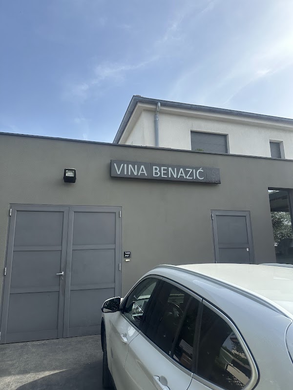 Vina Benazić