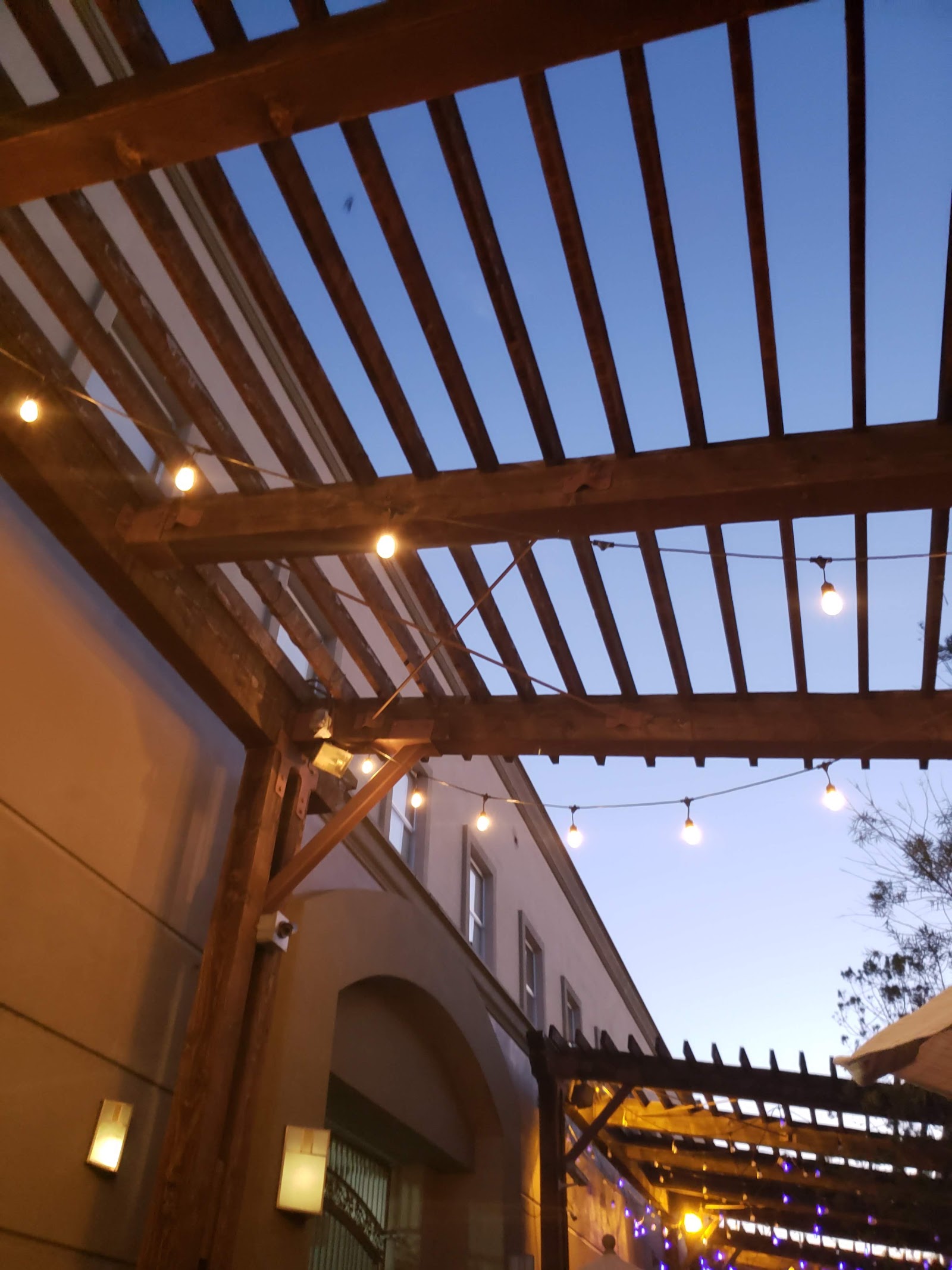 The garden courtyard at Woolworth Place