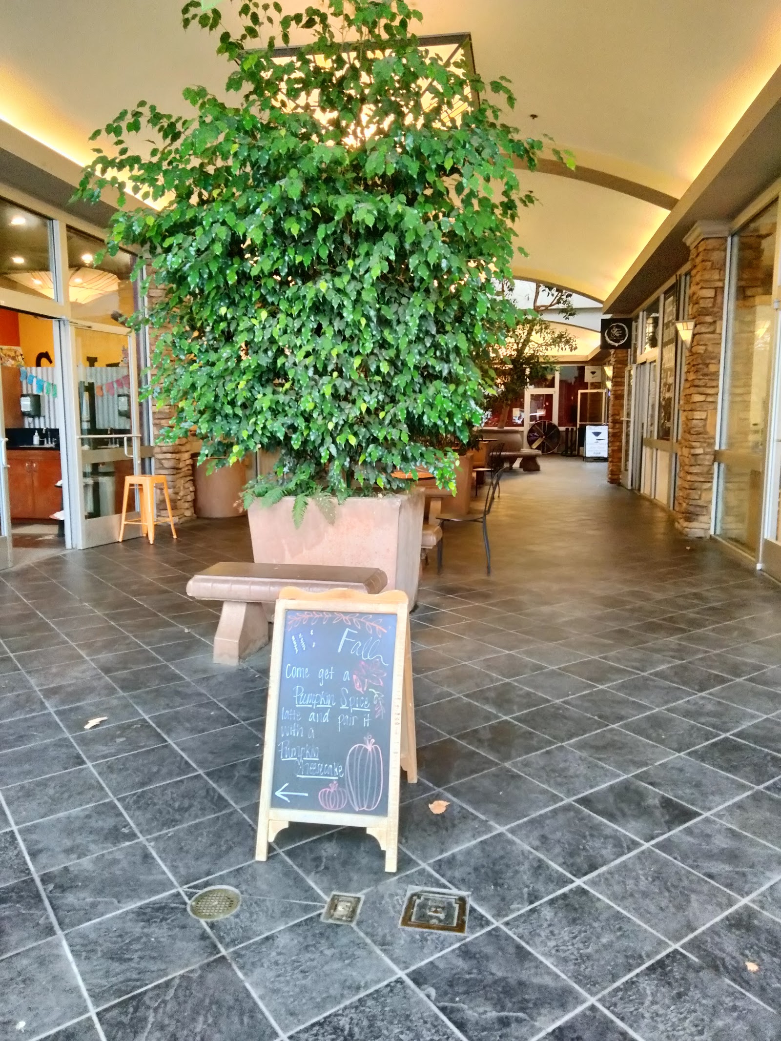Inside the Woolworth Place mall