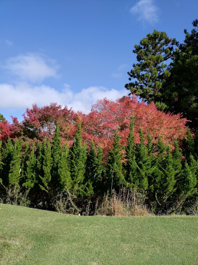 Nagura Country Club - Photo 8