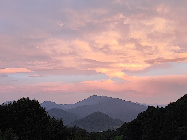 Uenohara Country Club - Photo 10