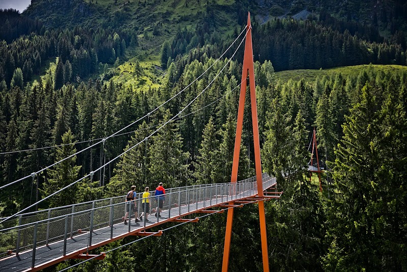 Glemmtaler Baumzipfelweg
