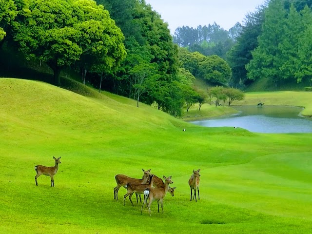 JR Uchino Country Club - Photo 9