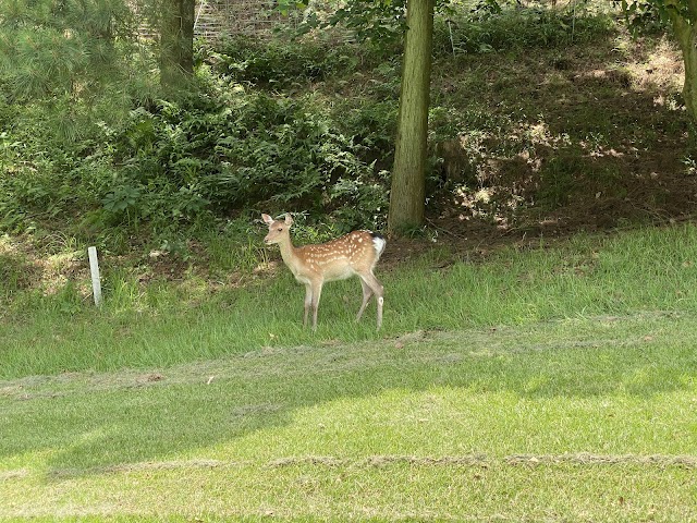 JR Uchino Country Club - Photo 7
