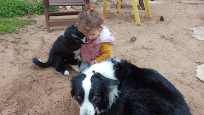 המרפאה הוטרינרית - ד"ר גיל רוזן