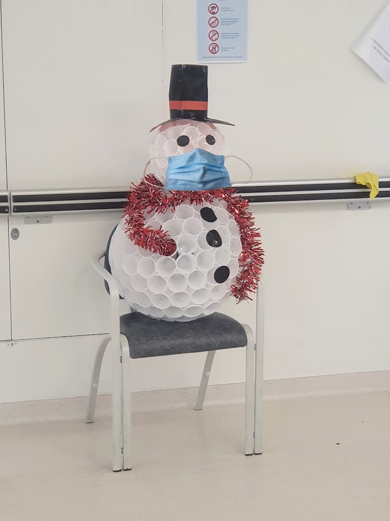 SITE HOSPITALIER RENE PLEVEN