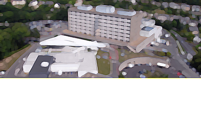 SITE HOSPITALIER RENE PLEVEN