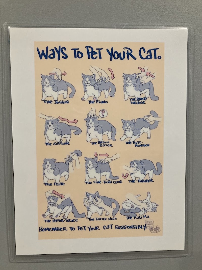 Whiskers Cat Cafe photo 4