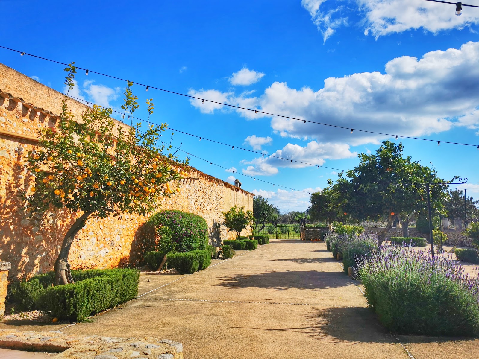 Finca Binissatí