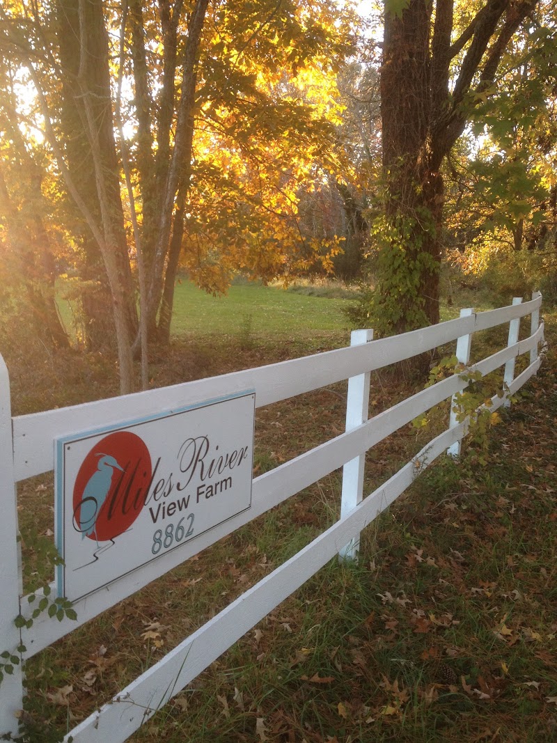 Miles River Guest House - Photo 5
