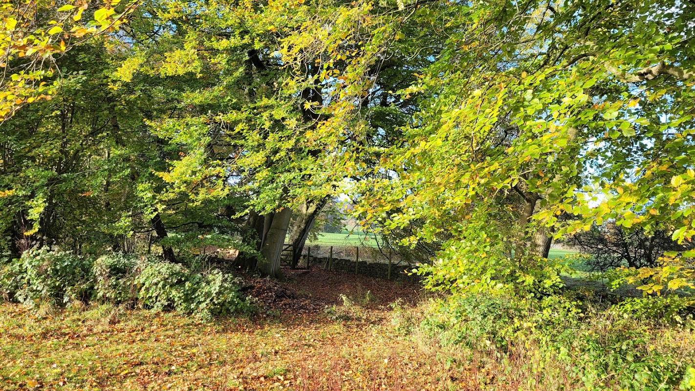 Jervaulx Caravan Park