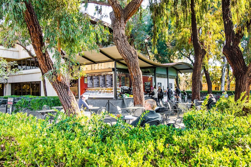 Coupa Cafe - Green Library photo 3