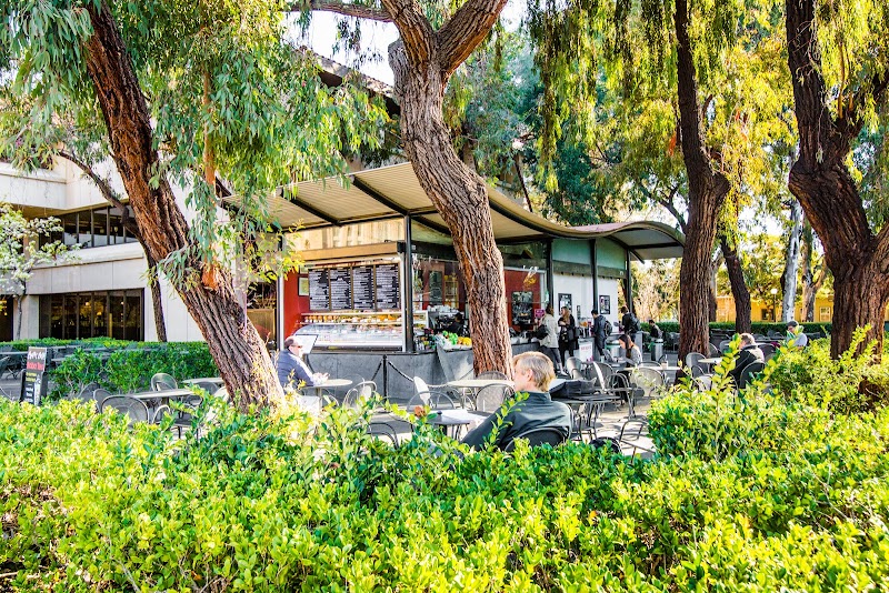 Coupa Cafe - Green Library photo 3
