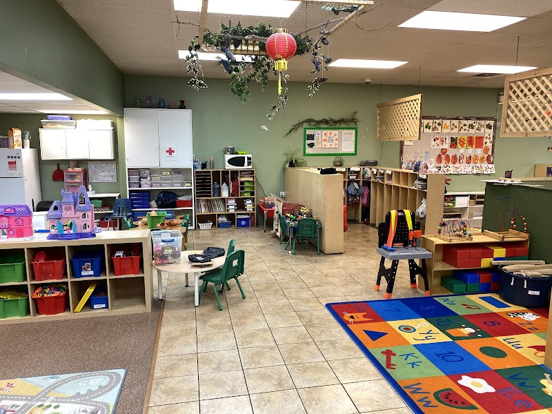 Little Wonders Child Development Centre photo 2