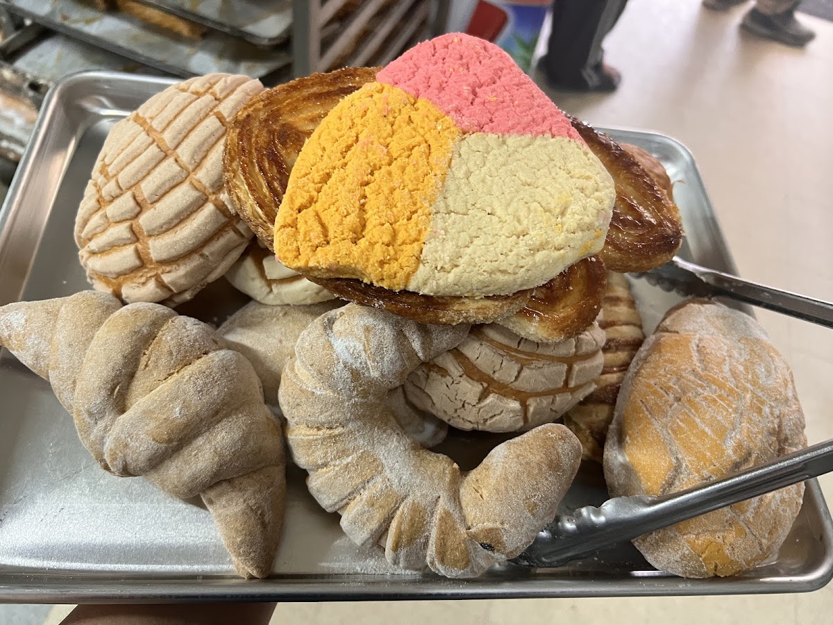 Panaderia La Colmena #2: Google Places image 2