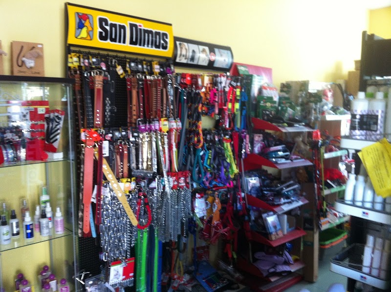 CLINICA VETERINARIA EN SALDAÑA Centro Veterinario Palentino S.L. CEVEPA( Urgencias 24 h)