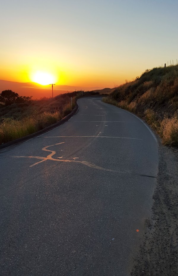 Mount Hamilton Road 1