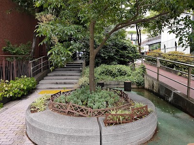 旧渋谷川遊歩道路