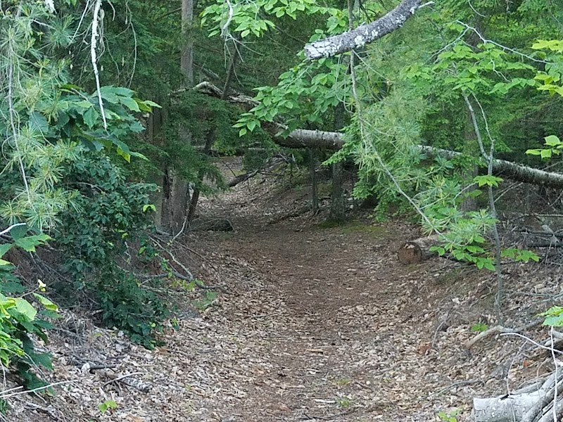 Sleeping Bear Heritage Trail